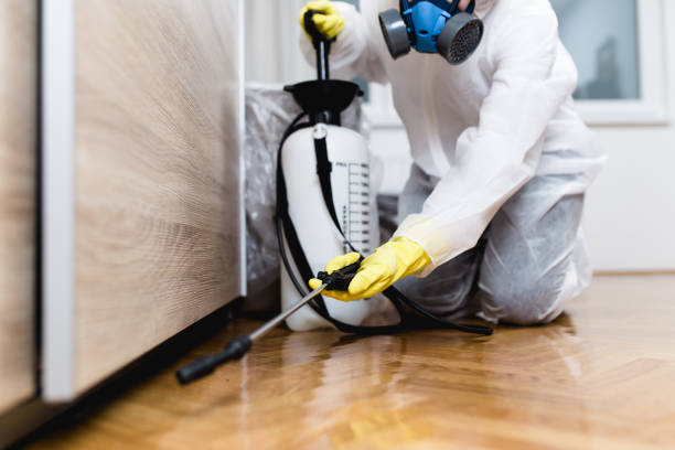 Reliable Duvall, WA Pest Control Solutions