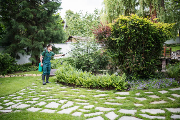 Best Best Pest Control Companies  in Duvall, WA