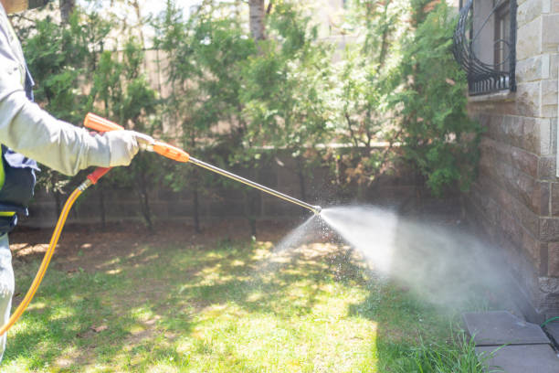 Spider Control Near Me in Duvall, WA
